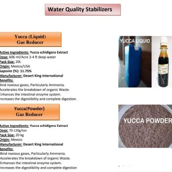 Yucca Liquid and Powder