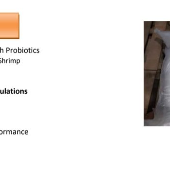 Safe Pond Granular (Zeolite with probitics and Yucca)