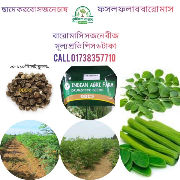 বারো মাসি সাজনা বীজ