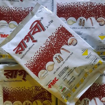 রাগবি ১০ জি দানাদার কীটনাশক ১০০ গ্ৰাম রি প্যাক