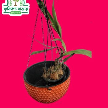 অর্কিড হ্যাংগর পট বড় সাইজ