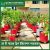 50 plants Drip  irrigation package