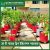 30 plants drip  irrigation package system