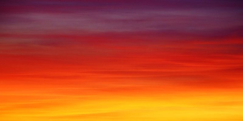 A Bright Future for Bangladesh’s Fruits Sector as Exports Skyrocket