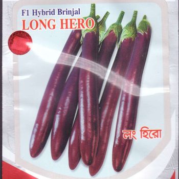 F1 Long Hero