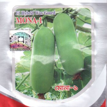 F1 mona 1