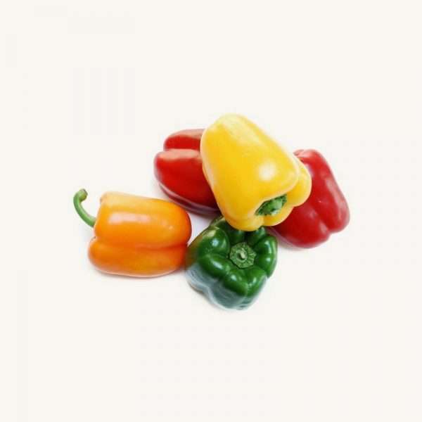Mixed Color Sweet Pepper / Capsicum Seeds (20 pcs)