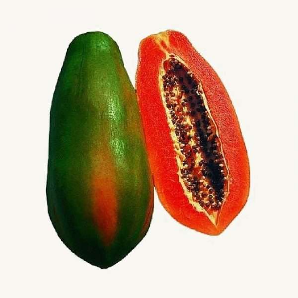 Red Lady Papaya Seeds (F1 Hybrid- 5 pcs)
