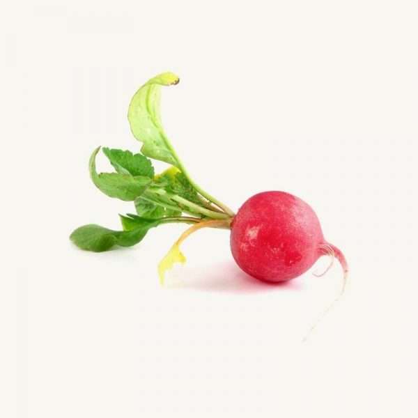 Red Radish Seeds (30 Pcs)