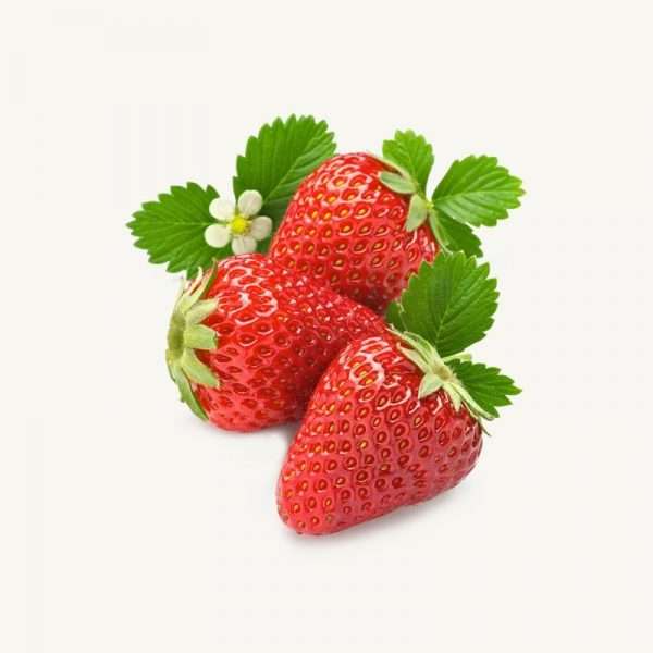 Strawberry Seeds (Aprx 100 pcs)