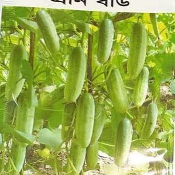 হাইব্রিড শসা (গ্রীন বার্ড) ২০ পিচ