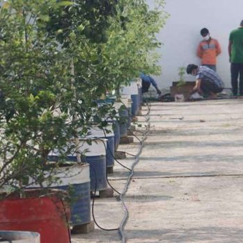 60 Plant Drip Irrigation System (Extensible up to 150 Plant)