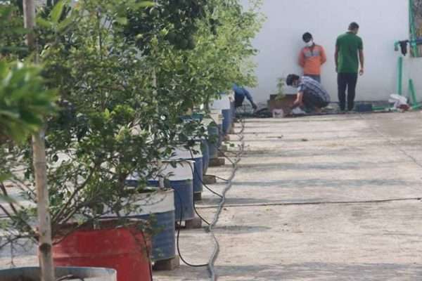 60 Plant Drip Irrigation System (Extensible up to 150 Plant)