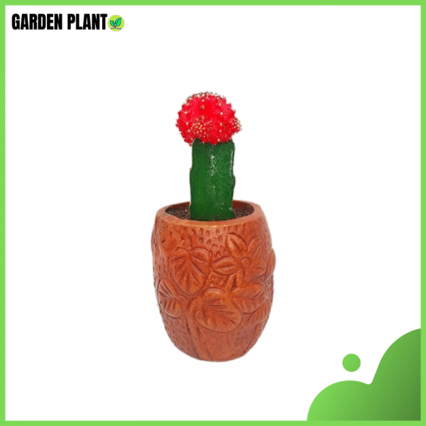 Cactus Redcap