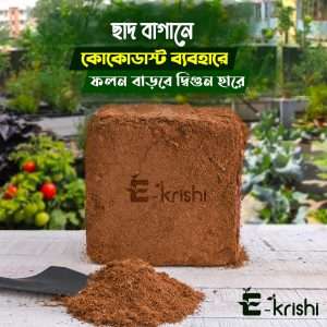 Cocodust ( কোকোডাস্ট )