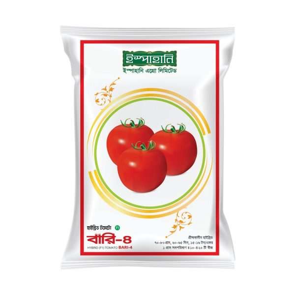 বারি-৪ - হাইব্রিড টমেটো