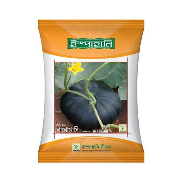 বারোমাসি (কালো) - মিষ্টি কুমড়া