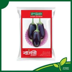 বাসন্তী - হাইব্রিড বেগুন