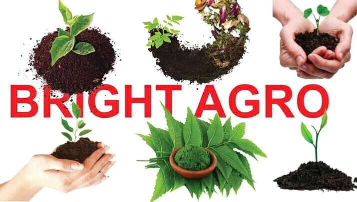 Bright Agro Ltd