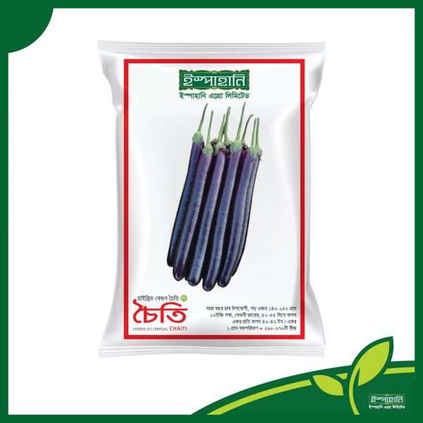 চৈতি - হাইব্রিড বেগুন