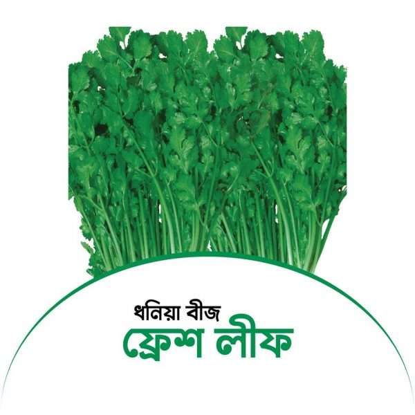 ফ্রেশ লীফ - ধনিয়া
