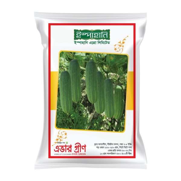 এভার গ্রীণ - হাইব্রিড শসা