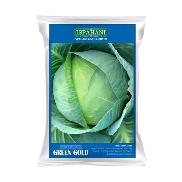 গ্রীন গোল্ড - হাইব্রিড বাঁধাকপি