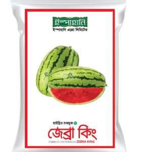 জেব্রা কিং - হাইব্রিড তরমুজ