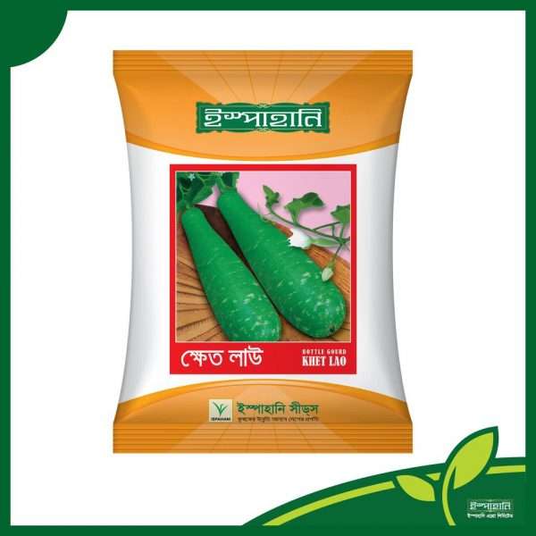 ক্ষেত লাউ – লাউ