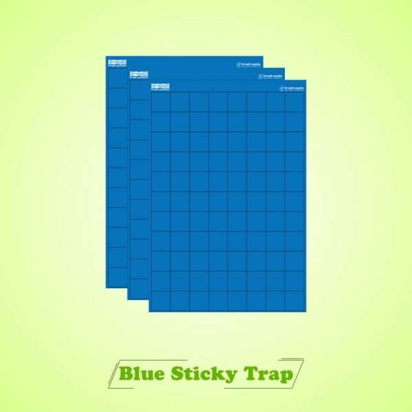 নীল স্টিকি ট্রাপ