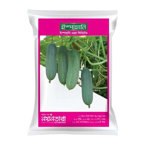 নয়নতারা - হাইব্রডি শসা