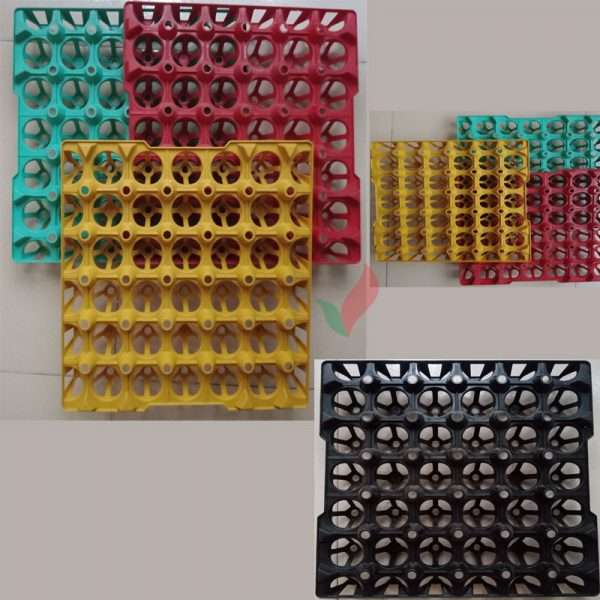 Plastic Egg Tray