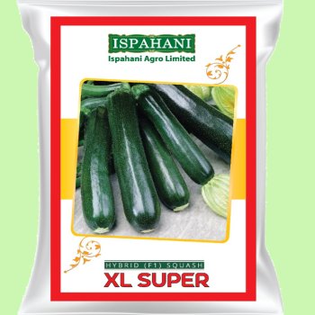 এক্স এল সুপার- হাইব্রিড স্কোয়াশ