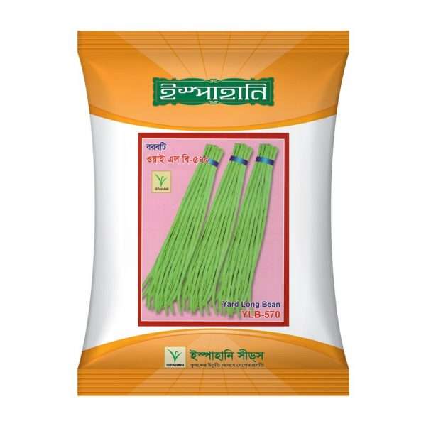 ওয়াই.এল.বি ৫৭০ - বরবটি