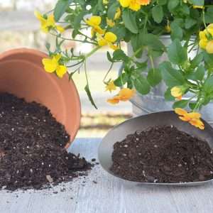 Soil Less Potting Mix