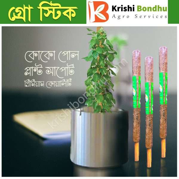 কোকো পোল (Coco pole)