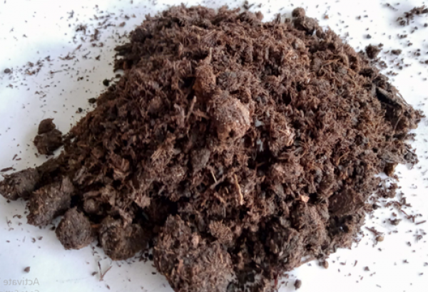 Dry Cow Dung Powder 