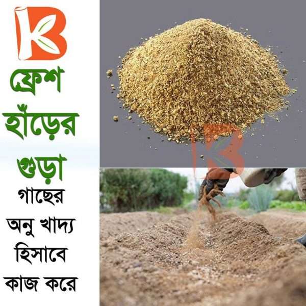 হাড়ের গুড়া