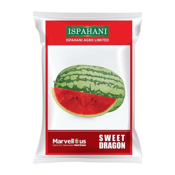 মার্ভেলাস সুইট ড্রাগন - হাইব্রিড তরমুজ
