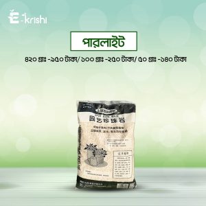 পারলাইট