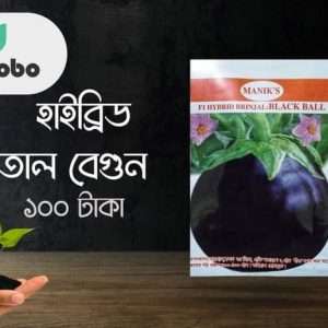 Hybrid তাল বেগুন