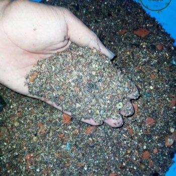 সাকুলেন্ট রেডি মিক্স সয়েল