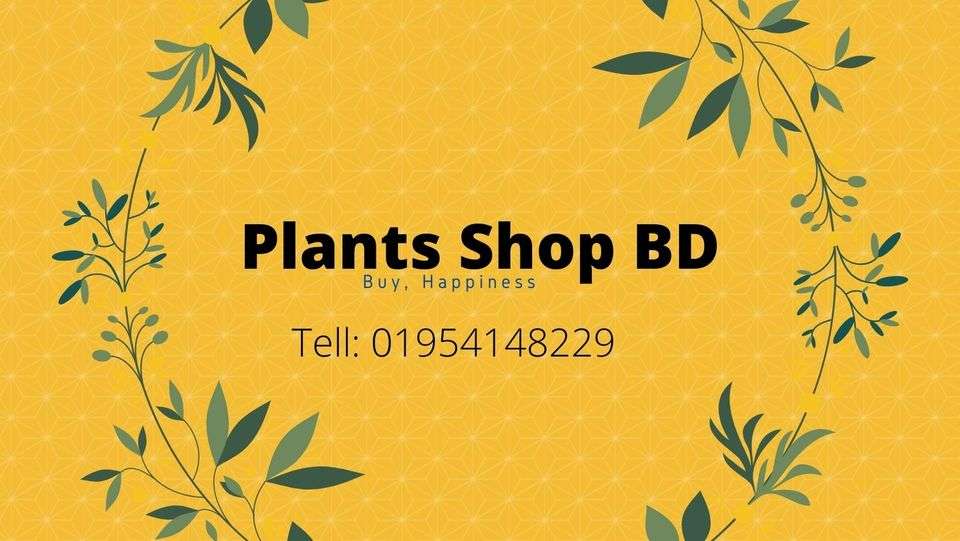 Plants Shop BD