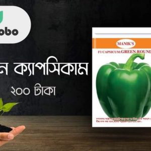 গ্রীন ক্যাপসিকাম