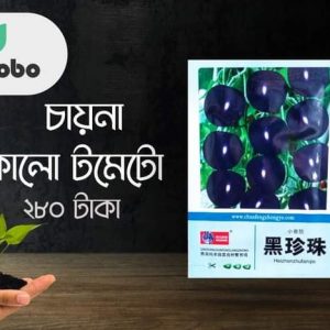 চাইনা কালো টমেটো