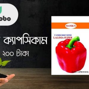 রেড ক্যাপসিকাম