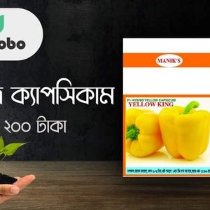 রেড ক্যাপসিকাম