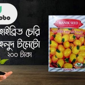 হাইব্রিড চেরি হলুদ টমেটো