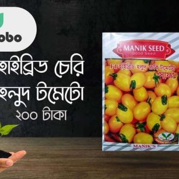 হাইব্রিড চেরি হলুদ টমেটো