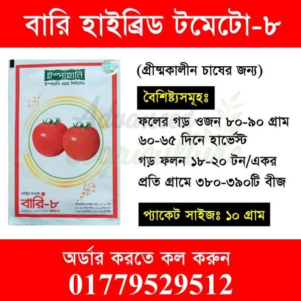 বারি হাইব্রিড টমেটো-৮(গ্রীষ্মকালীন চাষের জন্য)
